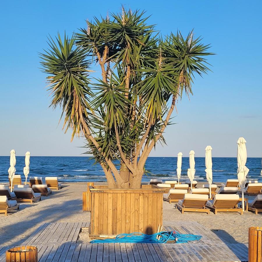 Studio Beach Residence Năvodari Exteriör bild